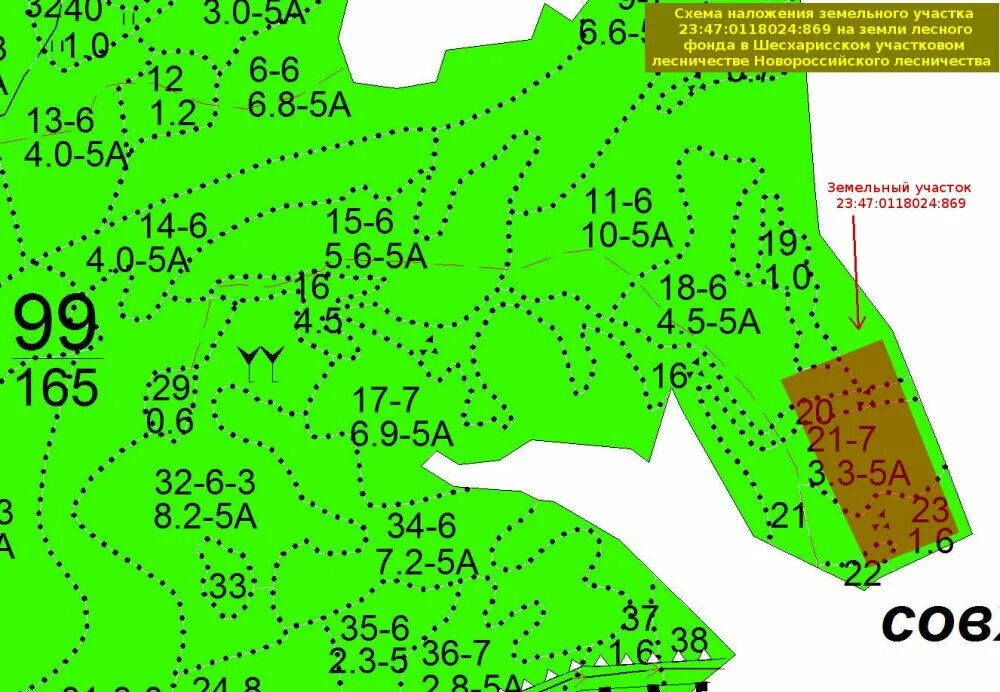 Схема наложения земельного участка. Схема лесного участка. Схема расположения лесного участка. Новороссийское лесничество. Карта участков лесничества