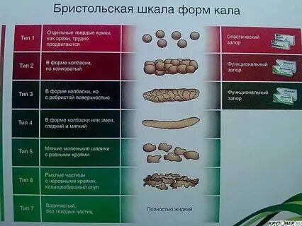 Нормальный кал взрослого человека фото
