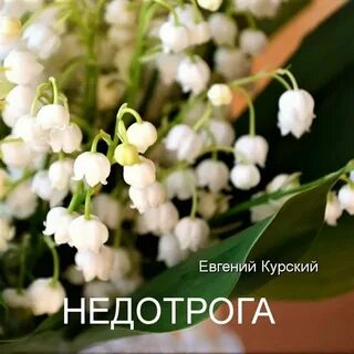 Музыка я подарю тебе ландыши 2024 слушать