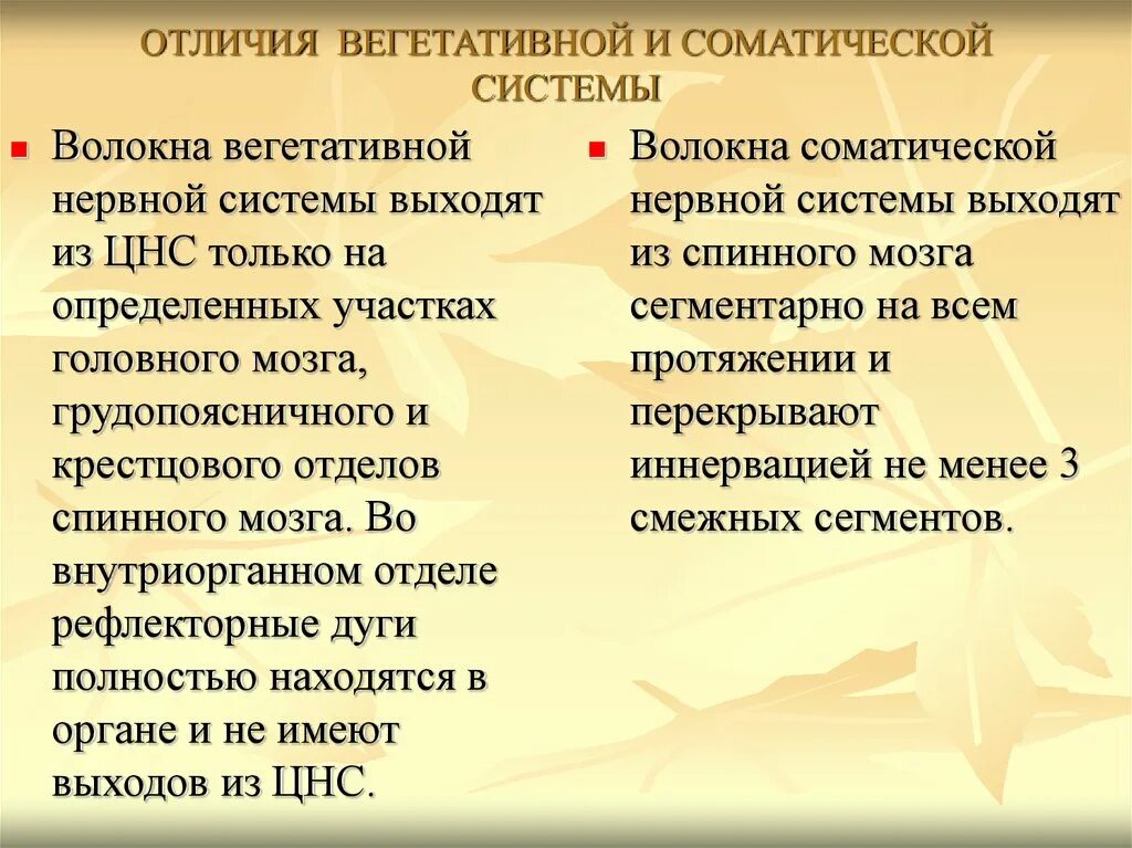 Какие известны вегетативные волокна. Отличия соматической и вегетативной нервной системы. Повреждение вегетативных волокон. Вегетативные волокна. Особенности вегетативной нервной системы.