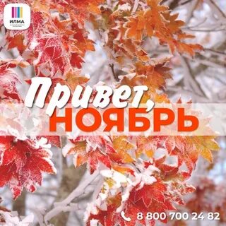 Встречаем ноябрь