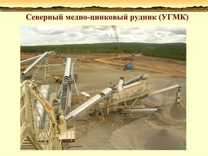 Медный северный