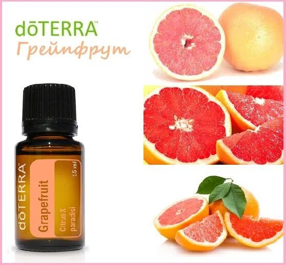 Белый грейпфрут дотерра. Эфирное масло грейпфрута дотерра. doterra масла грейпфрут. doterra белый грейпфрут. масло грейпфрут дотера.