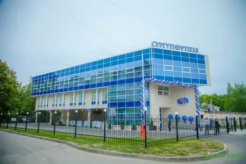 Сайт сургутнефтегаз великий новгород