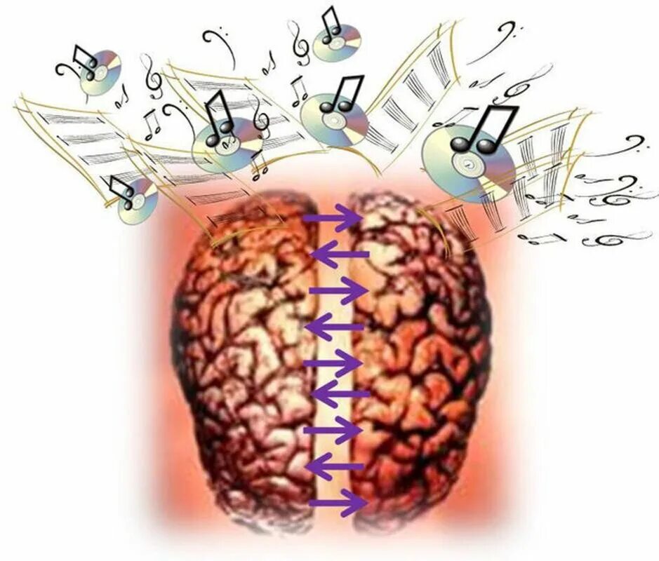 Музыка для стимуляции мозга концентрации внимания. Влияние музыки на мозг человека. Музыка влияет на мозг. Влияние звука на мозг.