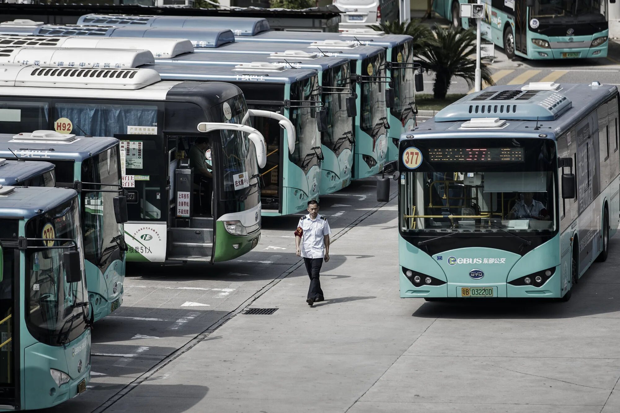 Общественный транспорт Китай Шеньжень. Электробусы Шанхай. Электроавтобус Китай. Китай автобус 2023.