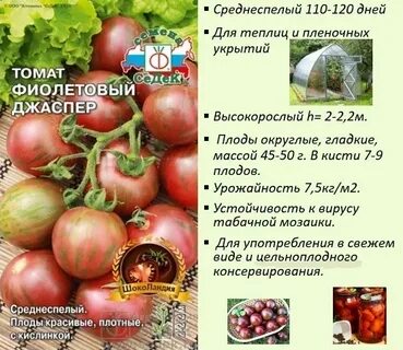 Томат владыка отзывы