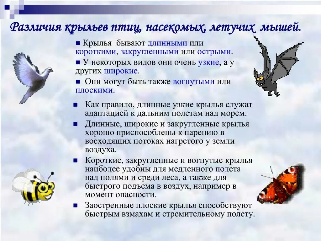 Почему насекомые издают звук при полете