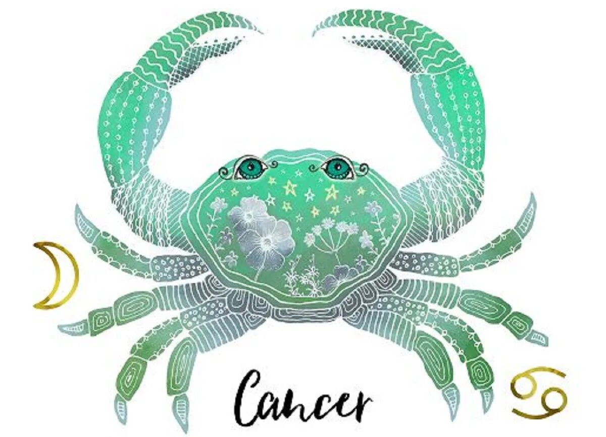 Знаки зодиака. Вид знака рак. Знаки зодиака rak. Вид знака рак. Рачок знак зодиака.