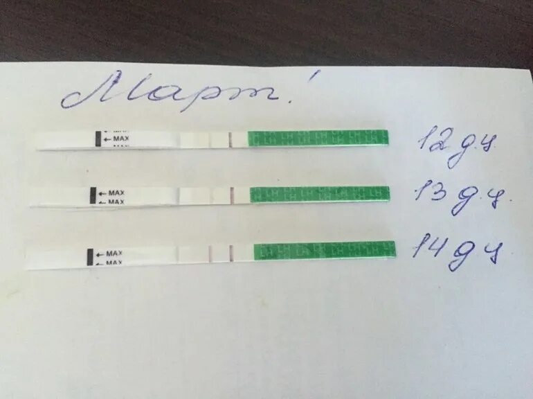 Овуляция на Ярине. Происходит ли овуляция при приеме ярины?. Месячные на отмене ярины. Зачатие после отмены джес.