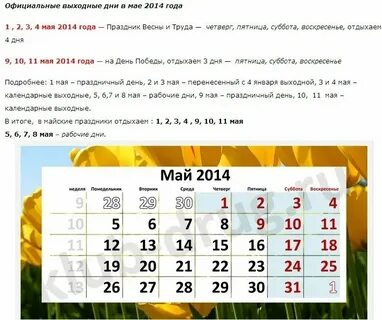 8 мая 24 года какой день