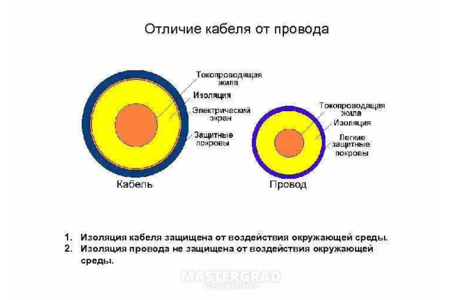 Шнуров отличился