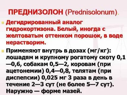 Преднизолон собаке при аллергии дозировка