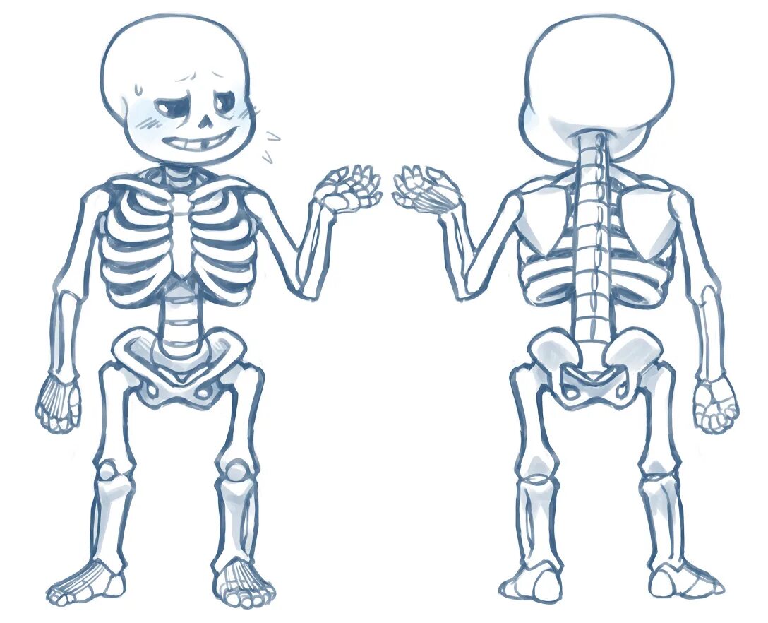Анатомия скелета Санса. Андертейл Санс анатомия. Скелет референс андертейл. Анатомия скелета андертейл. Как рисовать скелет