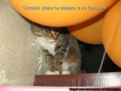 Ну не отвлекаешь