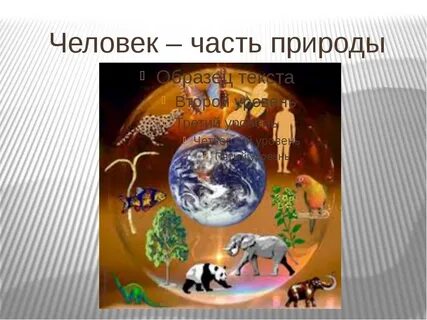 Человек высший продукт живой природы