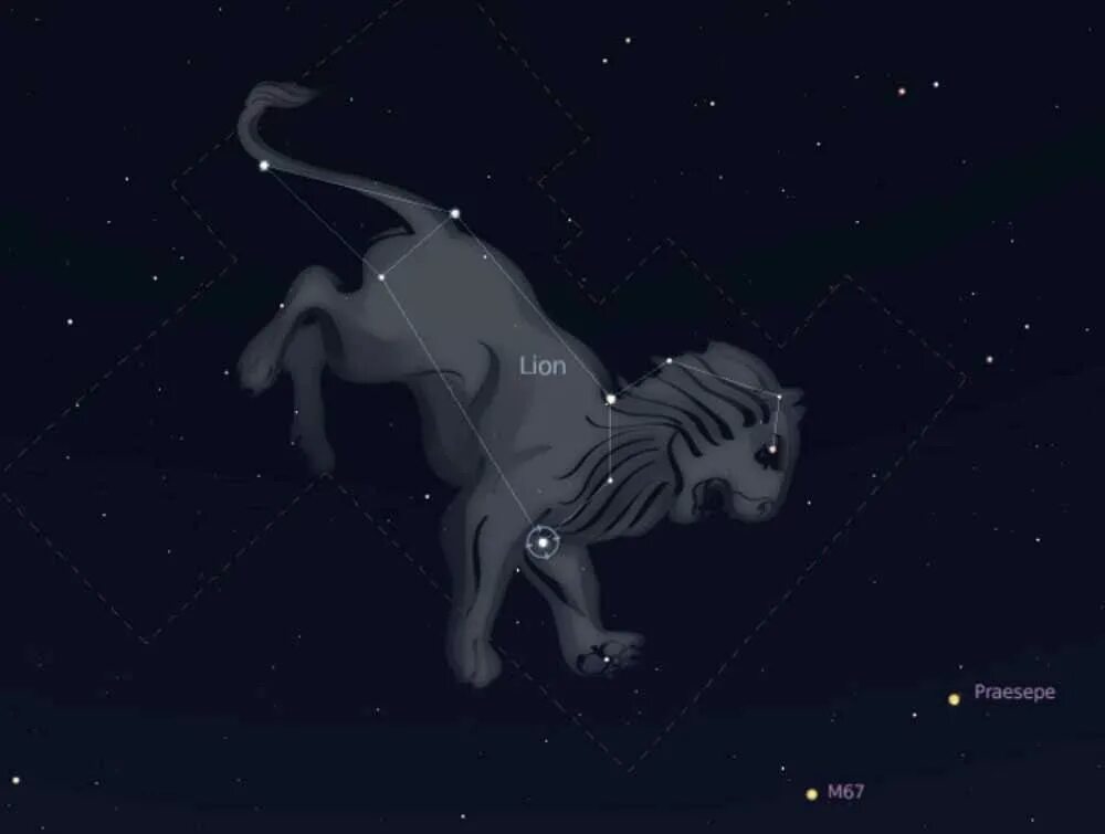 Почему созвездие лев. Созвездие Льва. Созвездия зодиака Лев. Созвездие Льва Регулус. Созвездие Льва окружающий мир.