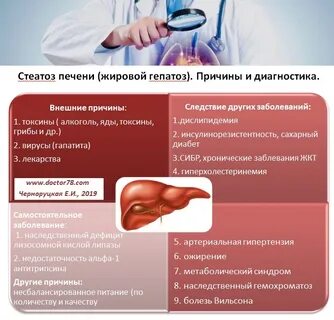 Диффузный стеатоз печени лечение