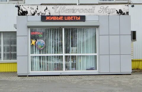 Мир цветов ростов