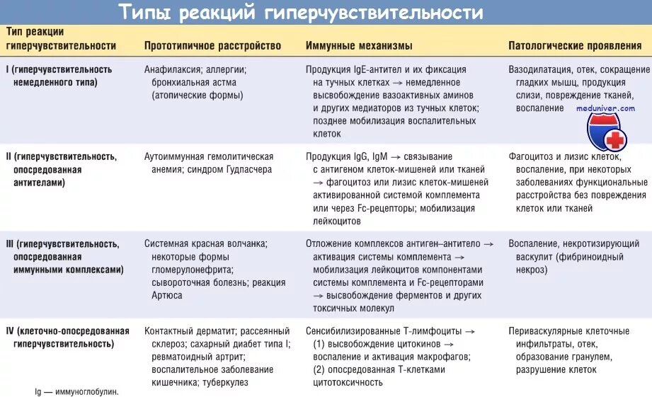 Реакции гиперчувствительности второго типа ( II типа ). Цитотоксическое поврежде