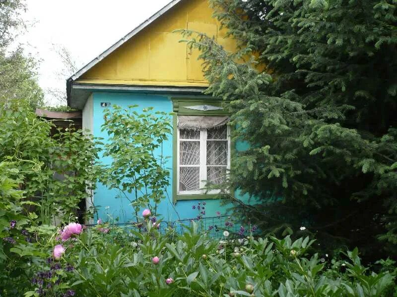 Дача в алматы. Дача алматы. Алматинский дача продажа. Дача алматы. Кенсайские дачи алматы.