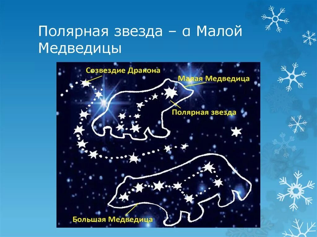 Созвездие малой медведицы. Информация о созвездии малая медведица. Информация о созвездии малая медведица. Созвездие малой медведицы 2 класс. Малая медведица созвездие 2 класс окружающий мир.