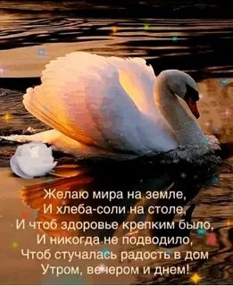 Здоровье чтоб не подводило никогда