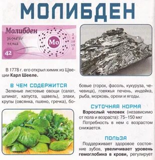 Роль молибдена в организме человека