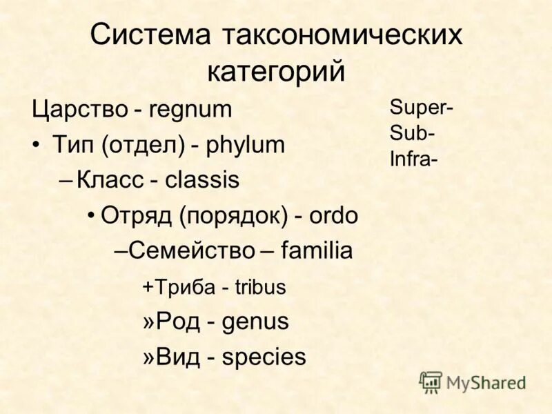 Таксономическое разнообразие. Таксономическое разнообразие