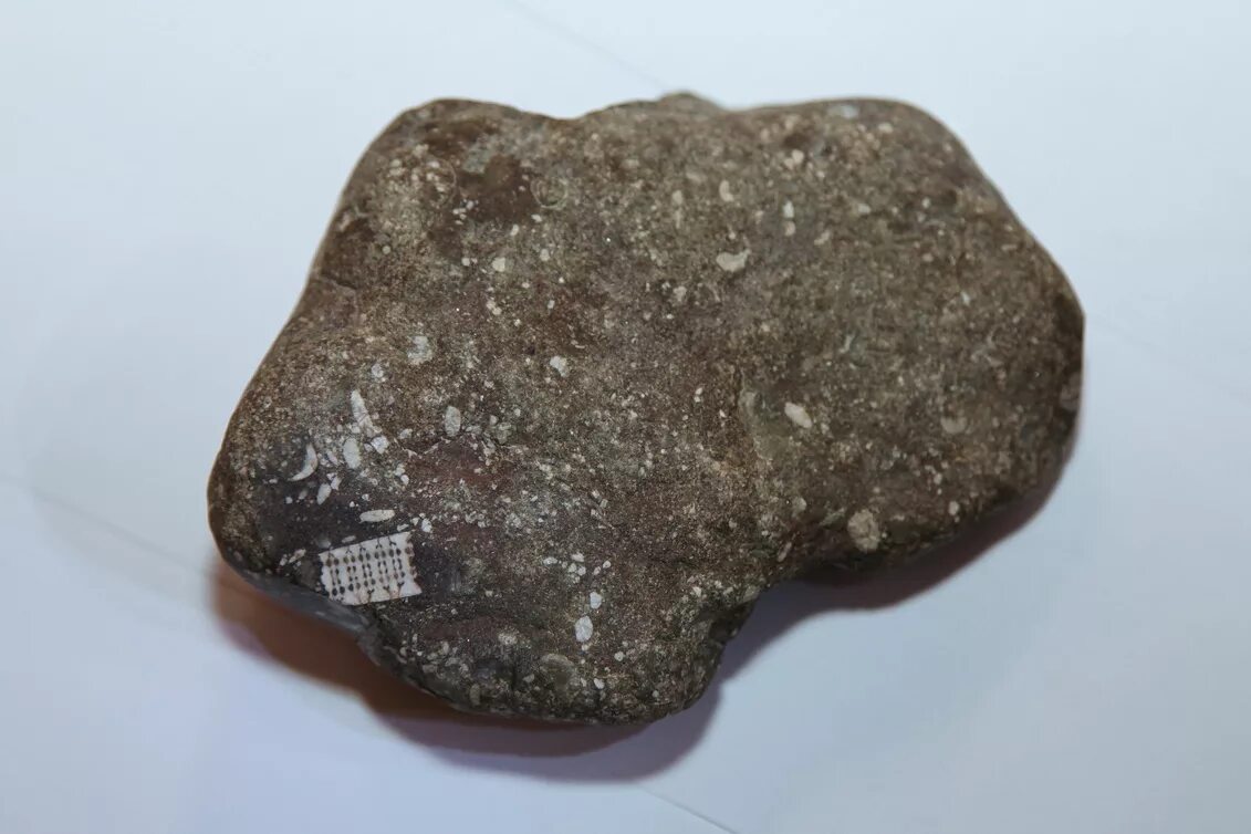 Неизвестные фрагменты. Фрагменты костей мамонта. Кости позвоночника мамонта. Микросхема в камне. Микросхема в камне.