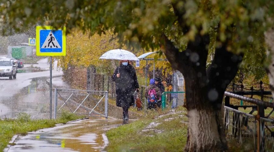 Какая погода будет 22 апреля. Алтай дождь. Апрельский дождь. Дождливое утро апреля. Дождь в апреле.