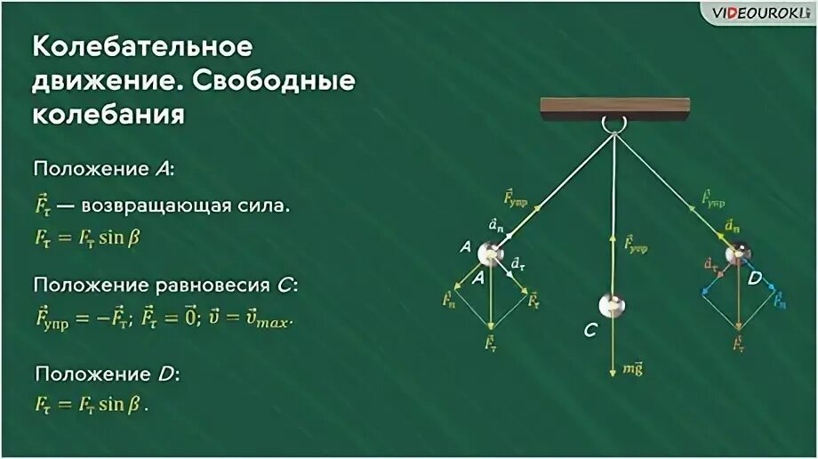 Активное передвижение не является характерной. Колебательное движение свободные колебания. Физика 9 класс колебательное движение свободные колебания. Колебательные движения свободные колебания 9 класс. Классификация колебательных систем.