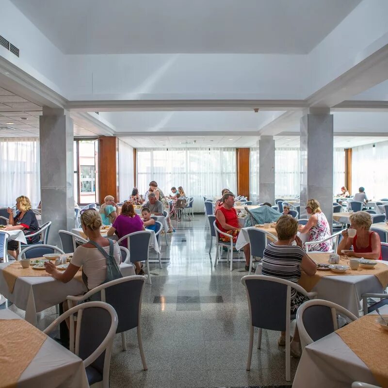 Санаторий самшитовая роща абхазия. Самшитовая роща санаторий. Пансионат самшитовая роща 4*. Абхазия пицунда пансионат самшитовая роща. Самшитовая роща абхазия пицунда санаторий.