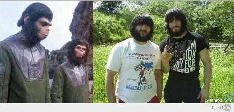 Почему таджики тупые. Чеченцы обезьяны. Кавказец палец вверх.
