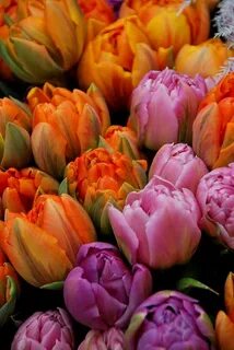 Flowers they