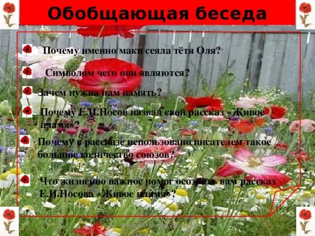 Сколько дней по мнению тети оли цветут. Живое пламя. Носов живое пламя. Символом чего являются маки. Живое пламя Носов иллюстрации.