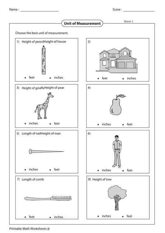 Unit height. Unit of measure. length worksheet. measuring worksheet. measures for kids worksheets.