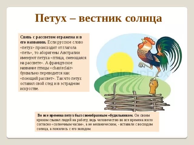 И на солнце есть пятна фразеологизм. Солнечный. Фразеологизмы солнца. Синонимы к слову солнце. Задрав нос фразеологизм.