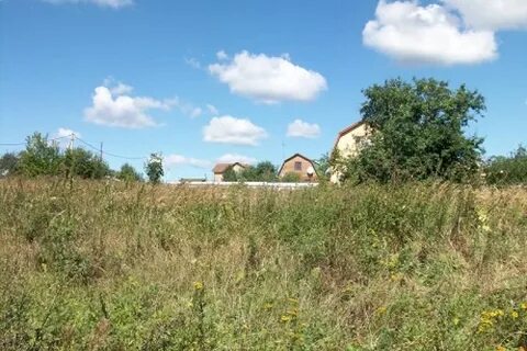 Новоселки московская область