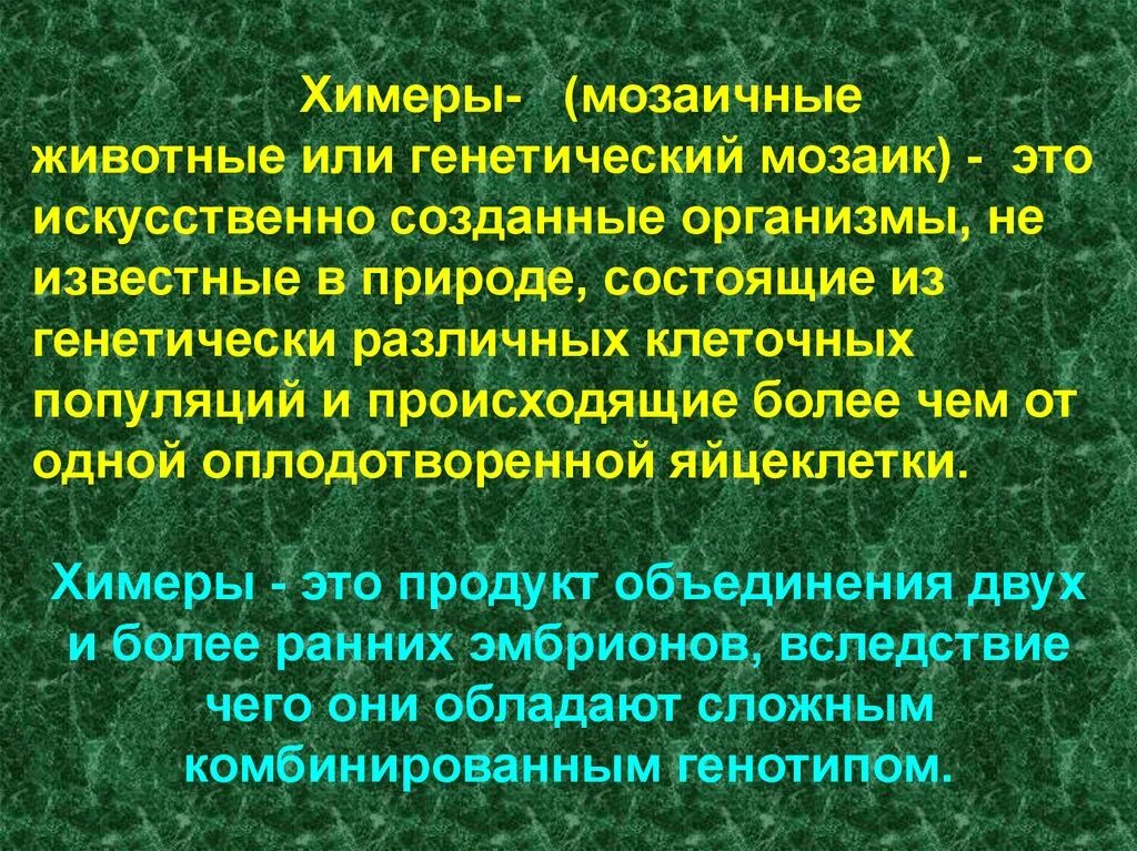 Мозаики генетика. Химеры в биотехнологии. Генетические мозаики генетика. Химерные мозаики.