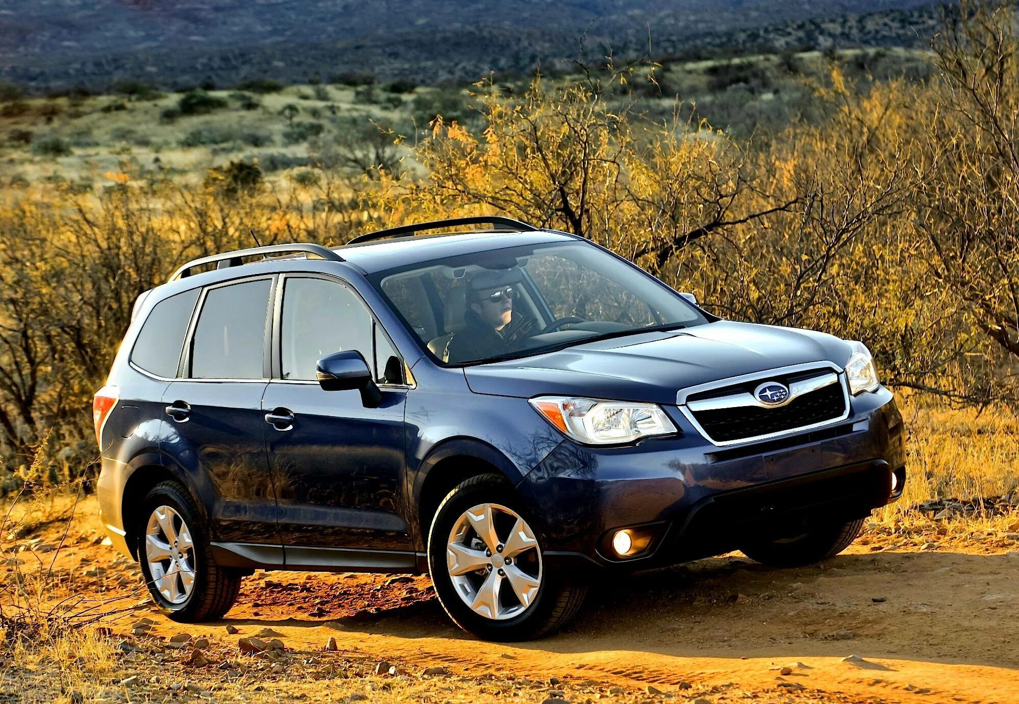 Субару Форестер 2014. Subaru Forester 2013. Subaru Forester 2013 2.5. Субару Форестер 4.