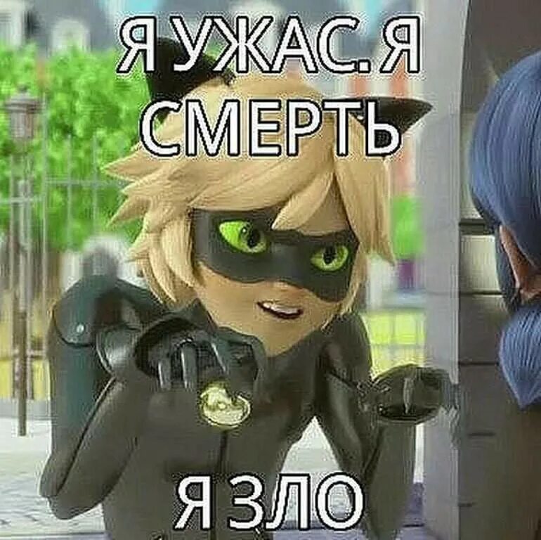 Мемы леди баг и супер