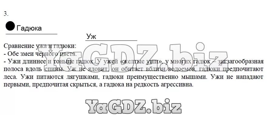 Сходство гадюки и ужа окружающий мир. Атлас определитель от земли до неба змеи гадюка. На каком рисунке изображена гадюка закрасьте кружок какая. Сходство гадюки и ужа 3 класс окружающий мир. Сравнение гадюки и ужа 3 класс.