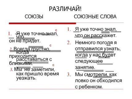 Которое является союзным словом