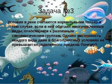 Условия реки