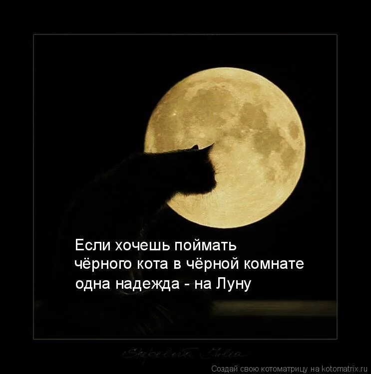 Под луной я не предам помню