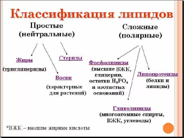 Структура, классификация, функции липидов. Классификация липидов схема. Классификация жиров простые и сложные. Классификация и биологические функции липидов таблица.