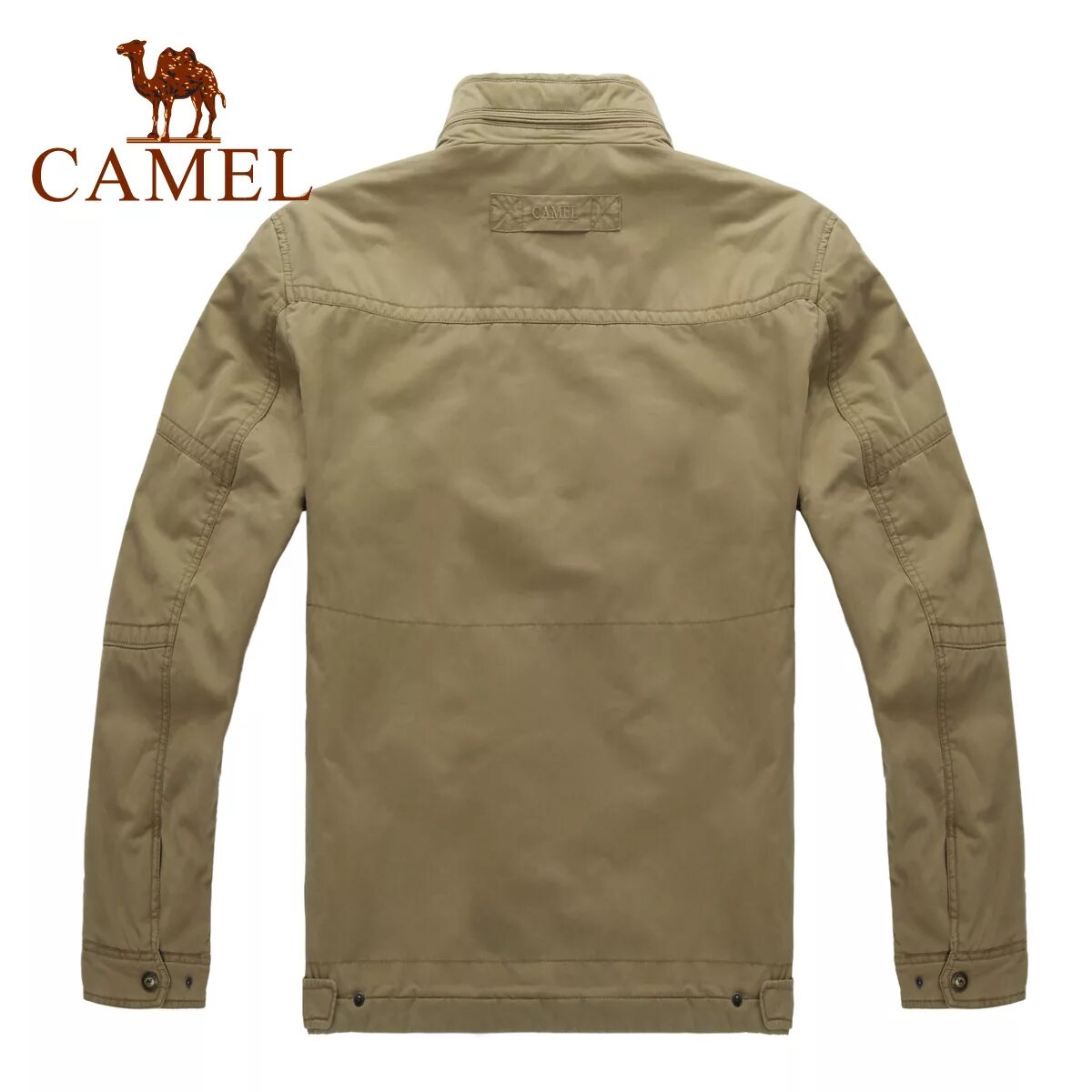 Camel одежда. Camel одежда