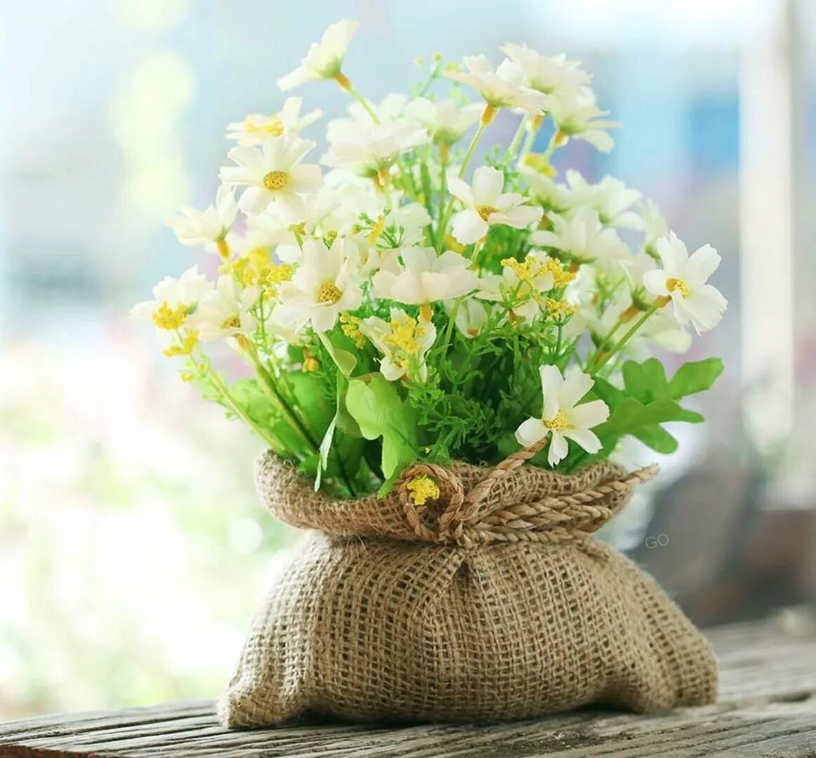 Пусть ваши мысли будут светлыми. Доброе утро мирного неба. Светлые мысли цитаты. Цветок радости и счастья. Желаю всем добра и мыслей светлых.