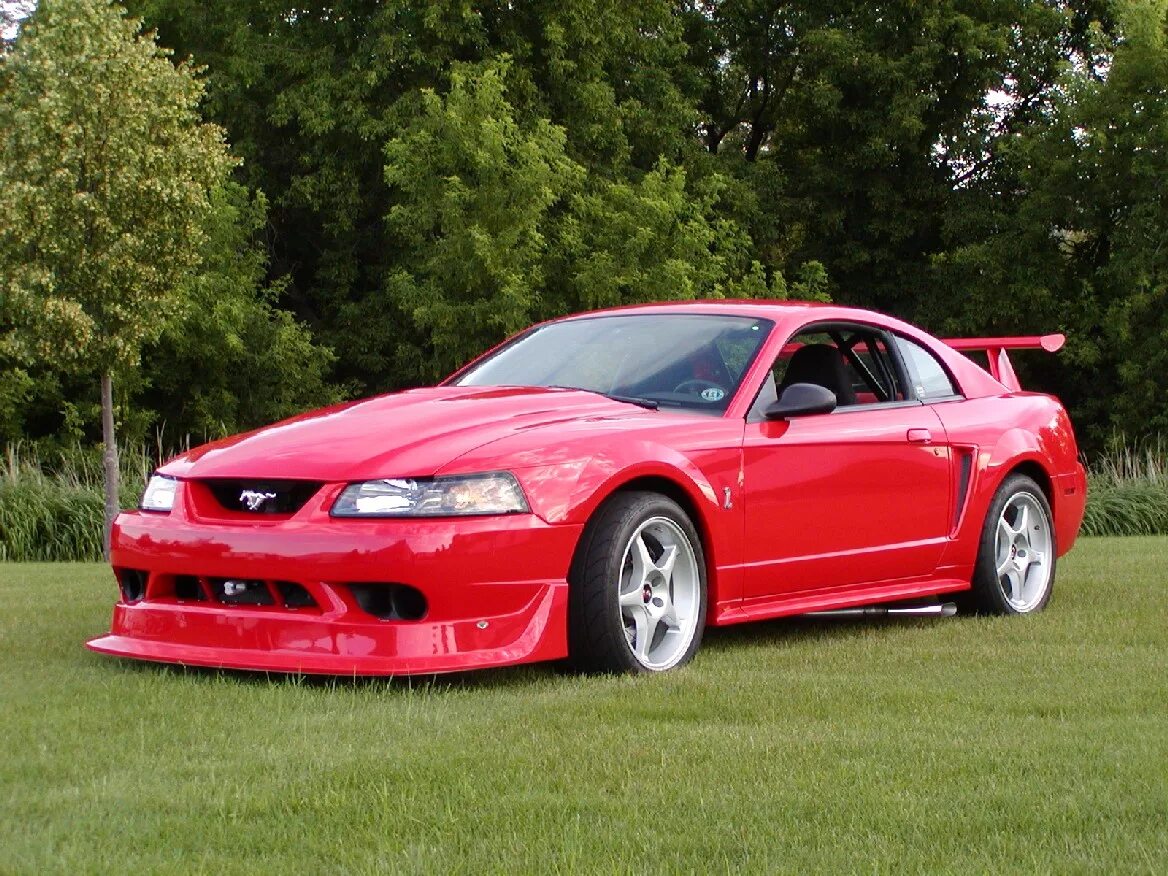 Mustang cobra